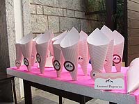 Vintage Pony Birthday theme Popcorn Cones